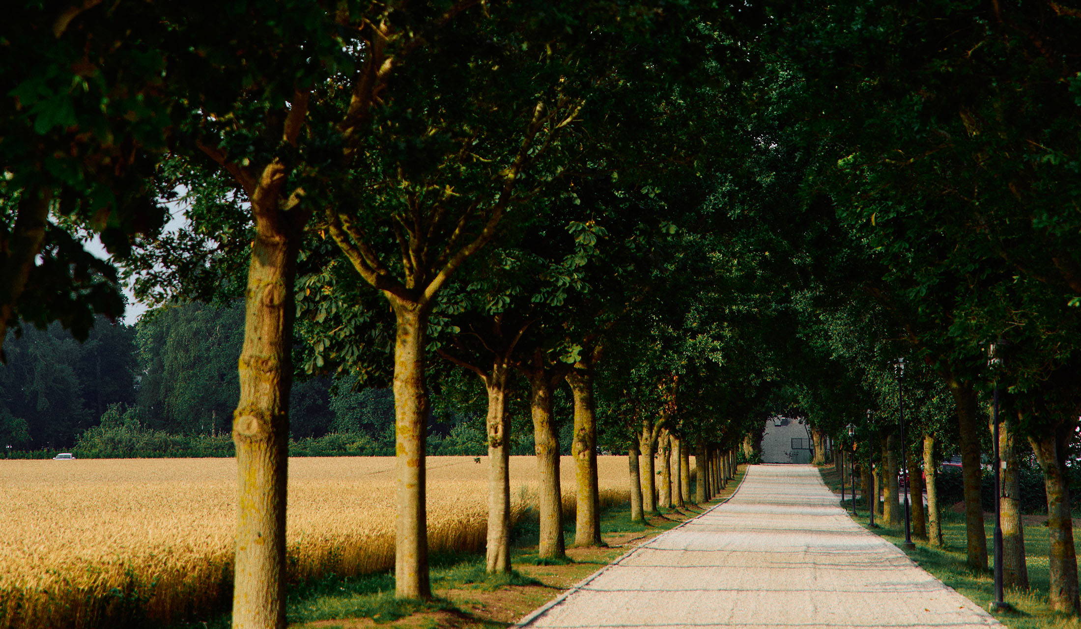 Maryhill Estate scenic grounds with rolling fields and coastal views